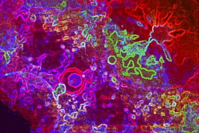 Neon Tie Dye Backgrounds Wallpapers : Abstract Wallpapers   Timbena.com