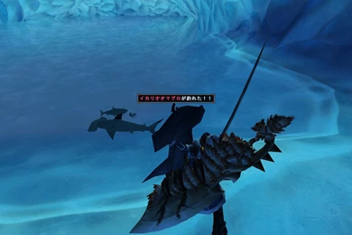 Image   Hammerhead Sharks.jpg   Monster Hunter Wiki   Wikia