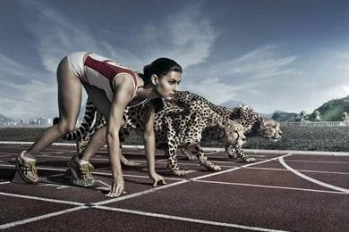 Sprint Against Cheetah Abstract HD Wallpapers