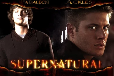 Sam And Dean   Jared Padalecki And Jensen Ackles Wallpapers (978137 ...