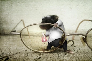 Science Mouse Humor Jokes Widescreen Hd Wallpapers   (