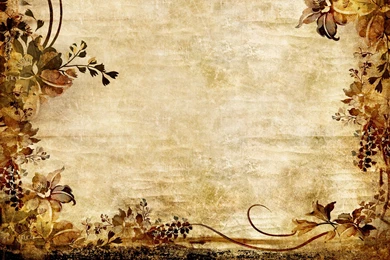 Dried Flowers Frame, Backgrounds Pattern