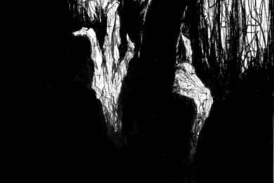 Cool Black And White Wallpapers August Wallpaper Backgrounds ...