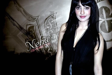 Wallpapers Neha Sharma Hd Of 1024x768