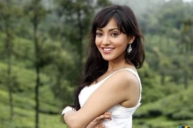 Neha Sharma Desktop Wallpapers (33416)