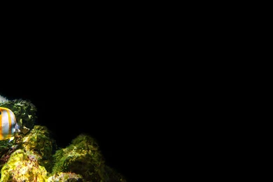 Backgrounds Black Plane Desktop Awesome White Inspiration : Full HD ...