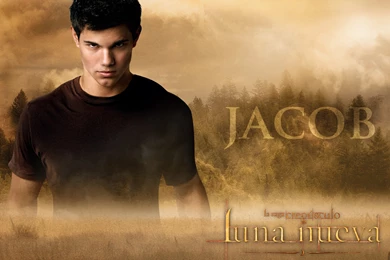 Oficial Jacob Black Wallpapers   Jacob Black Wallpapers (9164560 ...