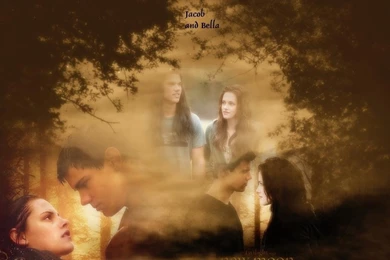 Jacob And Bella   Jacob Black Wallpapers (15321269)   Fanpop
