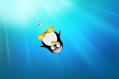 Linux Desktop Backgrounds   Wallpapers HD Fine