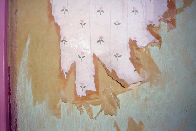 Renovation   Wallpapers Stripping