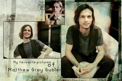 Matthew Gray Gubler HD Wallpapers   HD Images New