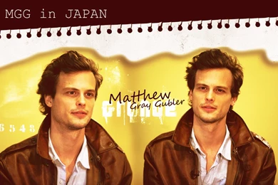 Matthew Gray Gubler HD Wallpapers   HD Images New