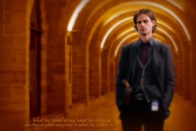 What Lies...   Matthew Gray Gubler Wallpapers (39241469)   Fanpop