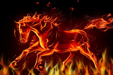 What Controls Your Dark Side?