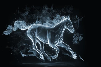 Fire Horse HD Wallpapers