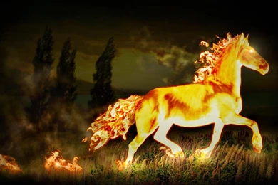 Fire Horse HD Wallpapers
