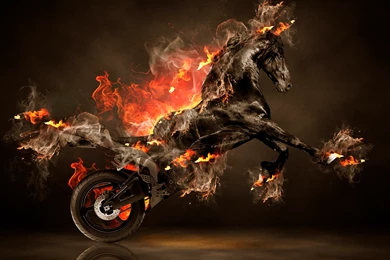 Index Of /wallpaper/makulu