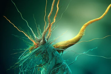 Cubic Bacteria The Winamp Plugin For Rainmeter Doesn Support Album ...