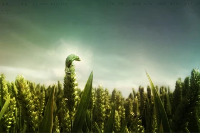 Smooth Rainmeter By John Boyer On DeviantArt