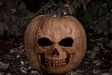 Beauty Tattoos: Scary Wallpapers