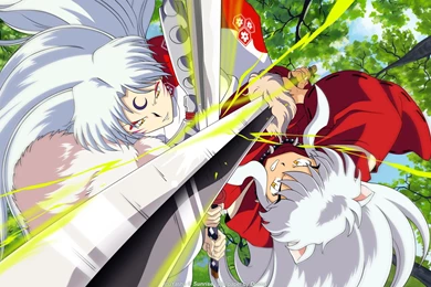 Inuyasha And Sesshomaru
