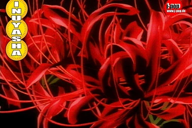 Download Inuyasha Anime Filmvz Portal Wallpapers 1024x768