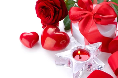 Rose Flowers Wallpapers Collection (45+)