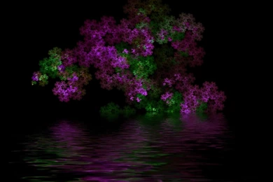 Nature In Purple Green >> HD Wallpaper, Get It Now!