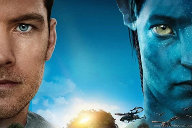 Amazing Avatar 8 － Movie Wallpapers   Free Download Wallpapers ...
