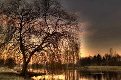 Morning Wallpapers I5U   HD Wallpapers Desktop Backgrounds