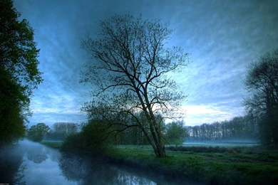 Morning Wallpapers & Good Morning Gifs