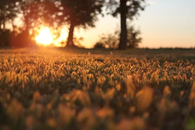 Morning Nature Desktop Wallpapers ~ Toptenpack.com