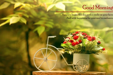 Good Morning Wallpapers Video