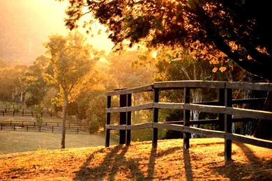 Autumn Morning Quotes. QuotesGram