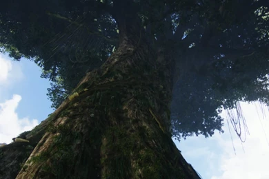 How To Have An “Avatar” Experience In Palawan