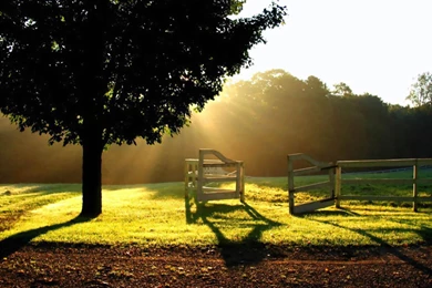 Morning Sun Wallpapers   HD Wallpaper Backgrounds Of Your Choice