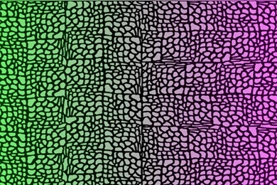 Green To Purple Mosaic   (