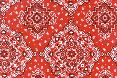 Calamity Pillow Case   Red Bandana