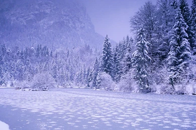 Nature Winter Wallpapers   Wallpapers Cave