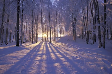 Winter, Photo, Wallpaper, Nature (