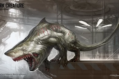 1 Interstellar Marines HD Wallpapers