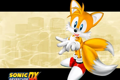 Sonic Adventure DX   HUGE sonic fan Wallpapers (22786709)   Fanpop