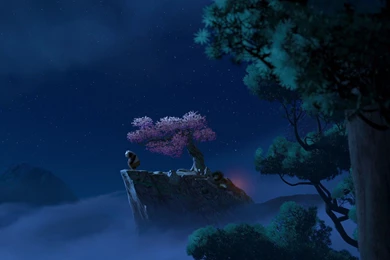 Kung Fu Panda Wallpapers Oogway 6 Desktop Backgrounds ...