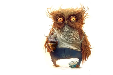 Fond Ecran Humour Hibou Reveil Difficile Funny Wallpapers HD