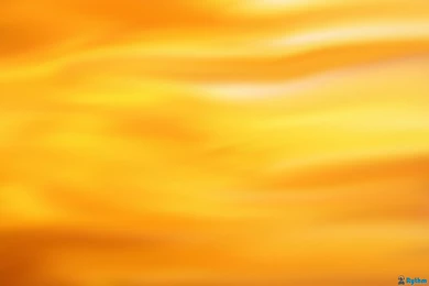 Dashing Multi Color Butterflies On Yellow Flowers Wallpapers Hd ...