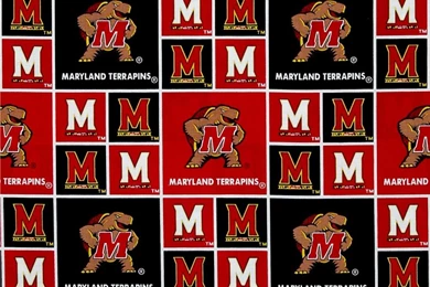 Quilted Gold Broadcloth