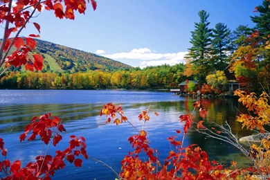 Free Nature Wallpapers   HD Landscape 4 Wallpapers   1920x1200 ...