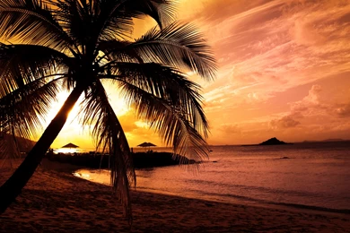 Hd 1920x1080 wallpapers 7 22053 HD Wallpapers