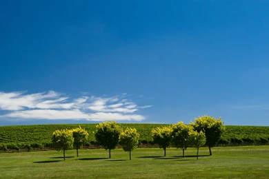 Nature Hd Wallpapers With 1920x1080 Resolution