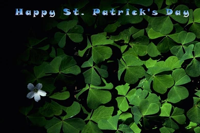 Free Wallpapers St Patricks Day   Wallpapers Cave
